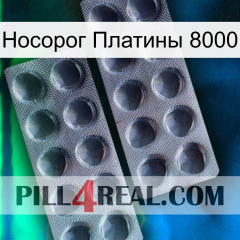 Носорог Платины 8000 31